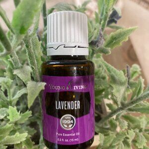 Young Living lavender essential oil